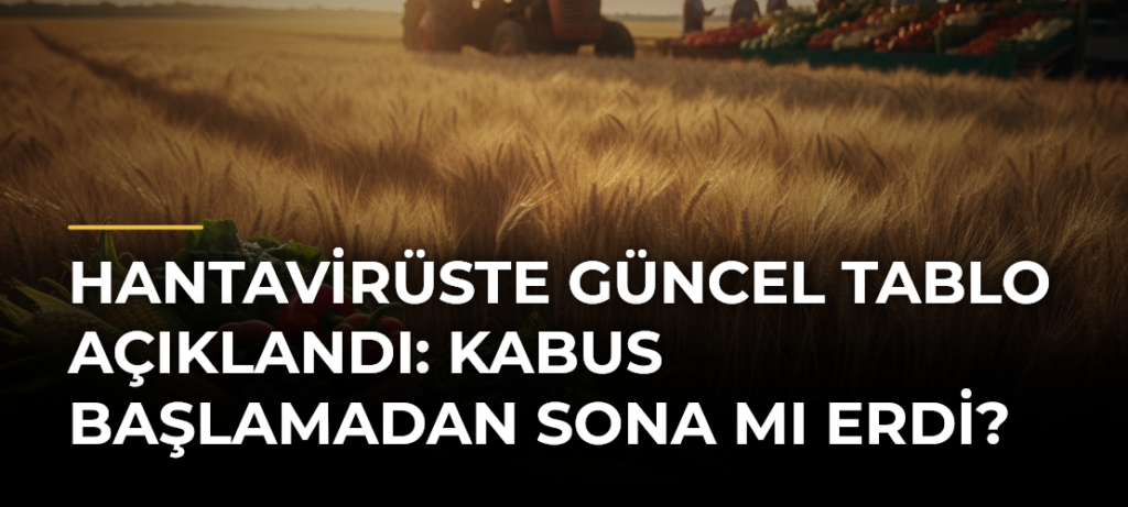 Hantavirüste güncel tablo açıklandı: Kabus başlamadan sona mı erdi?
