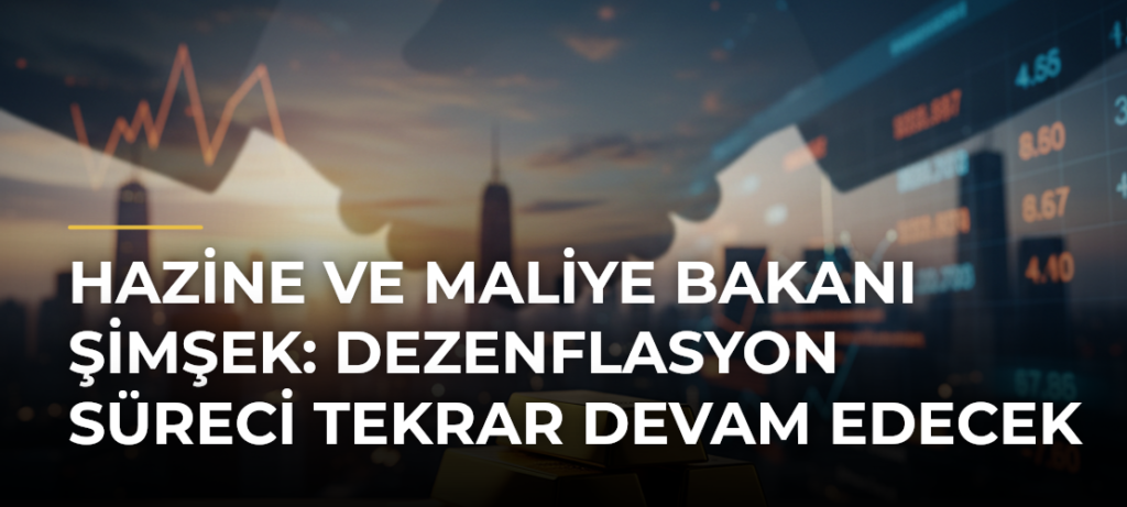 Hazine ve Maliye Bakanı Şimşek: Dezenflasyon Süreci Tekrar Devam Edecek