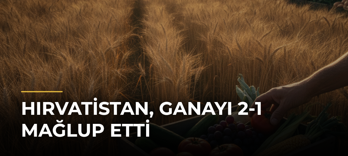Hırvatistan, Ganayı 2-1 Mağlup Etti - Mirat Haber