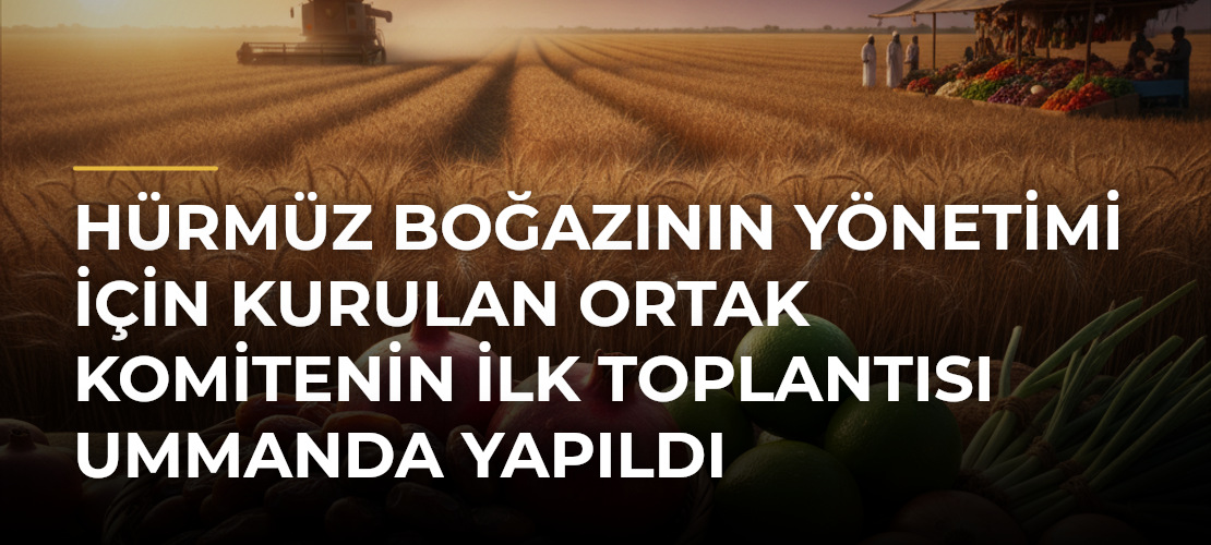 Hürmüz Boğazının yönetimi için kurulan Ortak Komitenin ilk toplantısı Ummanda yapıldı - Mirat Haber