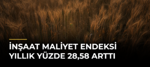 İnşaat maliyet endeksi yıllık yüzde 28,58 arttı