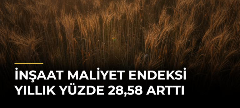 İnşaat maliyet endeksi yıllık yüzde 28,58 arttı