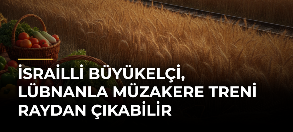 İsrailli Büyükelçi, Lübnanla Müzakere Treni Raydan Çıkabilir