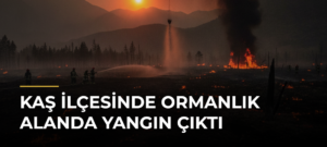 Kaş ilçesinde ormanlık alanda yangın çıktı