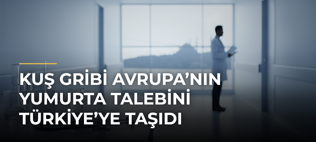Kuş Gribi Avrupa’nın Yumurta Talebini Türkiye’ye Taşıdı - Mirat Haber