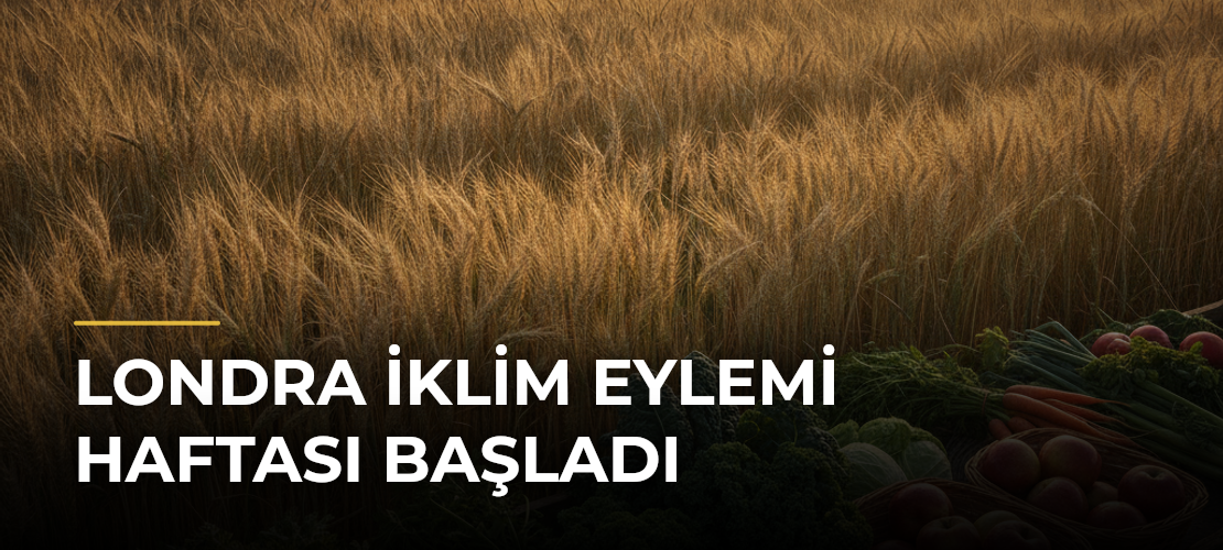 Londra İklim Eylemi Haftası başladı - Mirat Haber