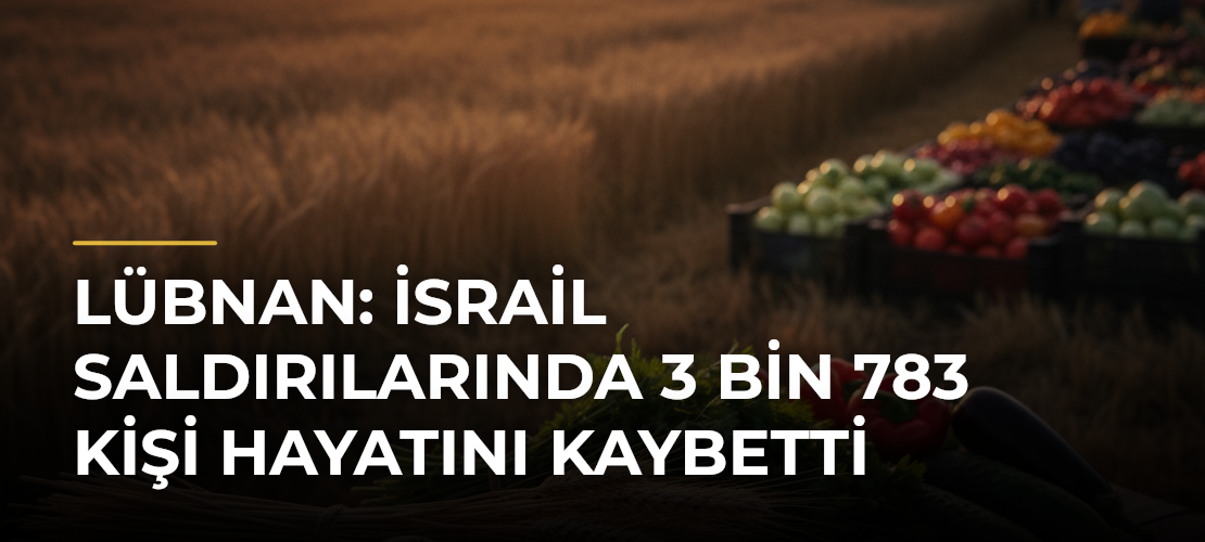 Lübnan: İsrail saldırılarında 3 bin 783 kişi hayatını kaybetti - Mirat Haber