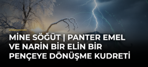 Mine Söğüt | Panter Emel ve Narin Bir Elin Bir Pençeye Dönüşme Kudreti
