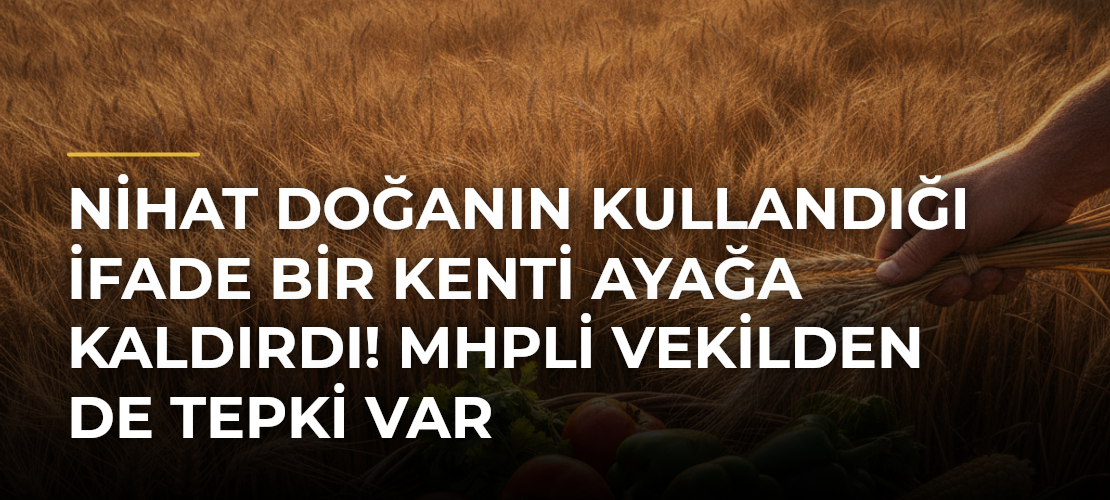 Nihat Doğanın kullandığı ifade bir kenti ayağa kaldırdı! MHPli vekilden de tepki var - Mirat Haber