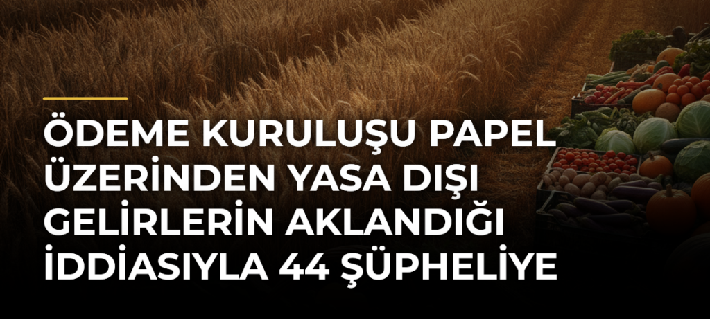 Ödeme kuruluşu Papel üzerinden yasa dışı gelirlerin aklandığı iddiasıyla 44 şüpheliye iddianame