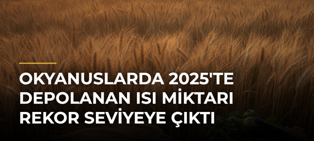 Okyanuslarda 2025’te Depolanan Isı Miktarı Rekor Seviyeye Çıktı