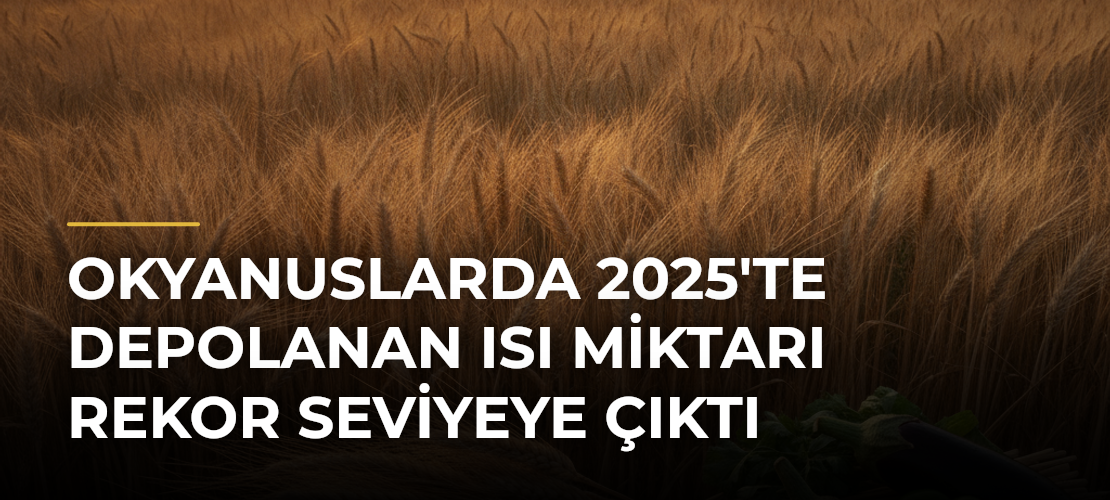Okyanuslarda 2025'te Depolanan Isı Miktarı Rekor Seviyeye Çıktı - Mirat Haber