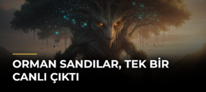 Orman sandılar, tek bir canlı çıktı