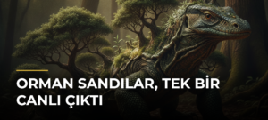 Orman Sandılar, Tek Bir Canlı Çıktı