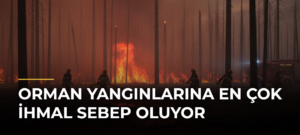 Orman Yangınlarına En Çok İhmal Sebep Oluyor