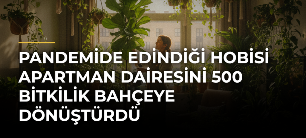 Pandemide edindiği hobisi apartman dairesini 500 bitkilik bahçeye dönüştürdü