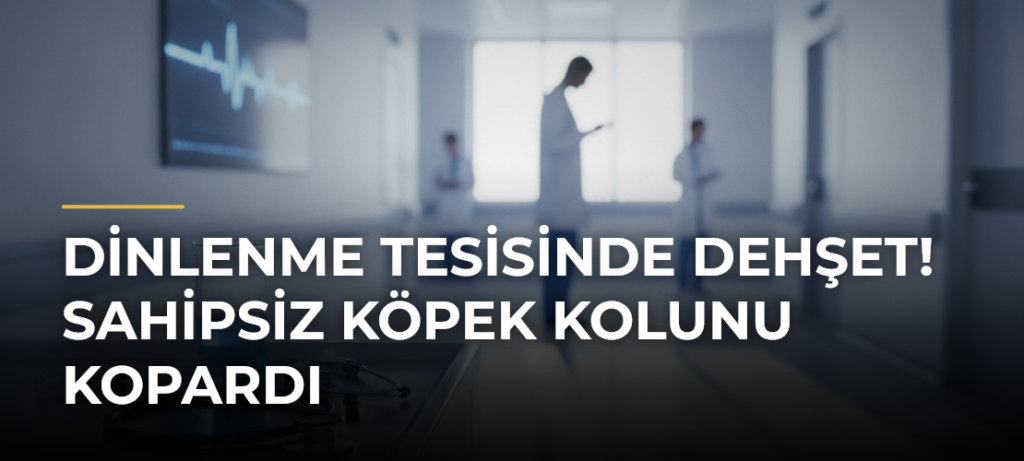 Dinlenme tesisinde dehşet! Sahipsiz köpek kolunu kopardı