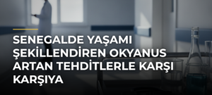 Senegalde yaşamı şekillendiren okyanus artan tehditlerle karşı karşıya