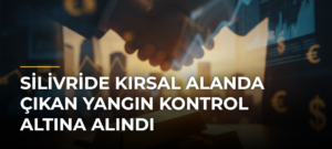 Silivride kırsal alanda çıkan yangın kontrol altına alındı