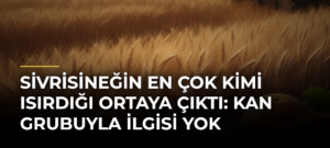 Sivrisineğin en çok kimi ısırdığı ortaya çıktı: Kan grubuyla ilgisi yok