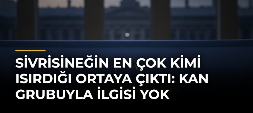 Sivrisineğin en çok kimi ısırdığı ortaya çıktı: Kan grubuyla ilgisi yok