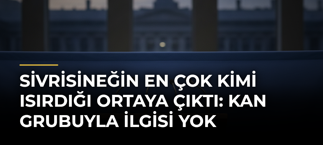 Sivrisineğin en çok kimi ısırdığı ortaya çıktı: Kan grubuyla ilgisi yok