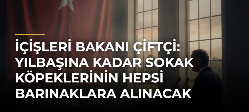 İçişleri Bakanı Çiftçi: Yılbaşına kadar sokak köpeklerinin hepsi barınaklara alınacak