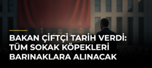 Bakan Çiftçi tarih verdi: Tüm sokak köpekleri barınaklara alınacak
