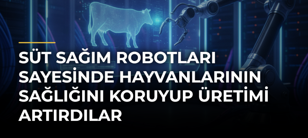 Süt sağım robotları sayesinde hayvanlarının sağlığını koruyup üretimi artırdılar