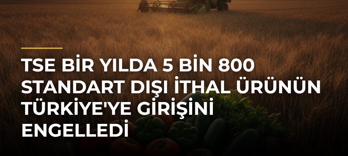 TSE Bir Yılda 5 Bin 800 Standart Dışı İthal Ürünün Türkiye'ye Girişini Engelledi - Mirat Haber