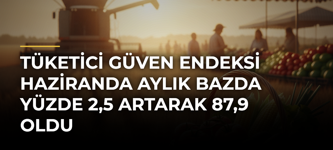 Tüketici güven endeksi haziranda aylık bazda yüzde 2,5 artarak 87,9 oldu