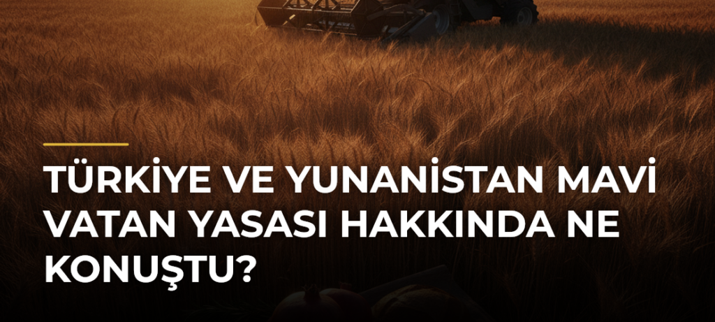 Türkiye ve Yunanistan Mavi Vatan Yasası hakkında ne konuştu?