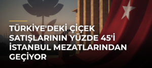 Türkiye’deki Çiçek Satışlarının Yüzde 45’i İstanbul Mezatlarından Geçiyor