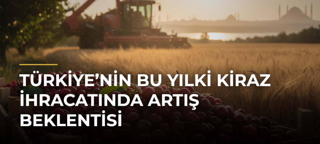 Türkiye’nin Bu Yılki Kiraz İhracatında Artış Beklentisi