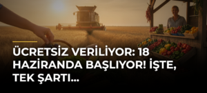 Ücretsiz veriliyor: 18 Haziranda başlıyor! İşte, tek şartı…