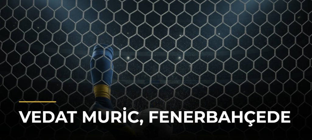 Vedat Muric, Fenerbahçede