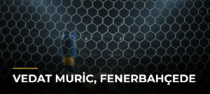 Vedat Muric, Fenerbahçede