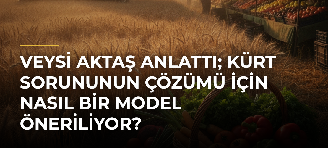 Veysi Aktaş anlattı; Kürt sorununun çözümü için nasıl bir model öneriliyor? - Mirat Haber