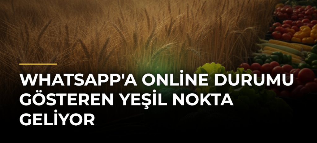 WhatsApp’a Online Durumu Gösteren Yeşil Nokta Geliyor