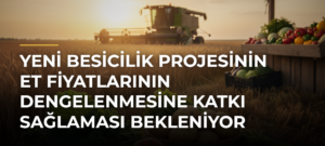 Yeni besicilik projesinin et fiyatlarının dengelenmesine katkı sağlaması bekleniyor