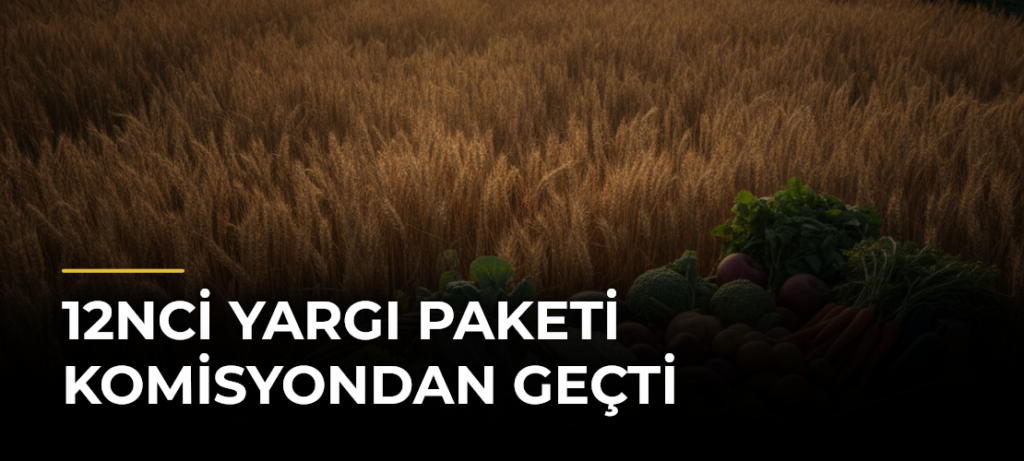 12nci Yargı Paketi komisyondan geçti