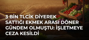 3 bin TLcik diyerek sattığı ekmek arası döner gündem olmuştu: İşletmeye ceza kesildi