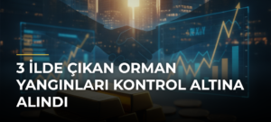 3 ilde çıkan orman yangınları kontrol altına alındı