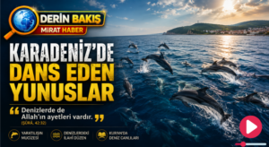 Karadeniz’de Dans Eden Yunuslar ve Allah’ın Denizlerdeki Ayetleri