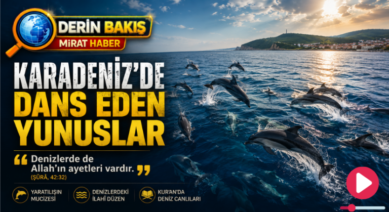Karadeniz’de Dans Eden Yunuslar ve Allah’ın Denizlerdeki Ayetleri