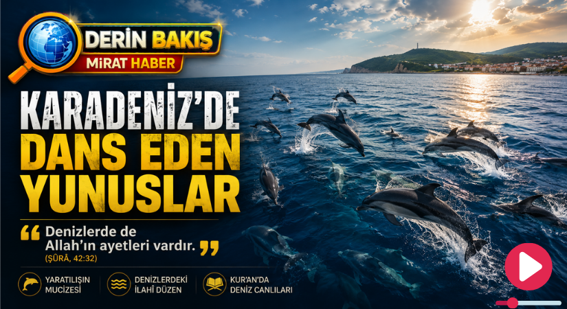 Karadeniz’de Dans Eden Yunuslar ve Allah’ın Denizlerdeki Ayetleri