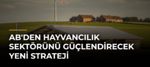 AB’den hayvancılık sektörünü güçlendirecek yeni strateji
