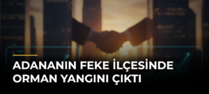 Adananın Feke İlçesinde Orman Yangını Çıktı