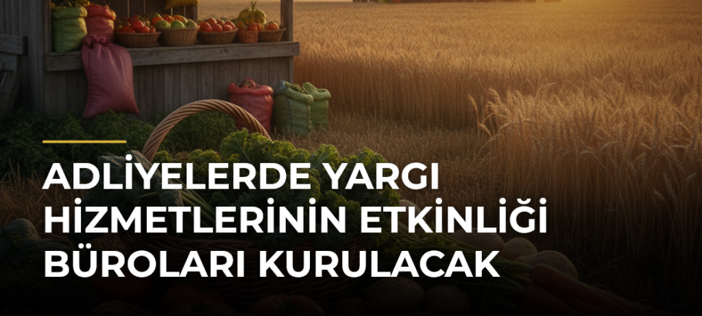 Adliyelerde Yargı Hizmetlerinin Etkinliği Büroları Kurulacak