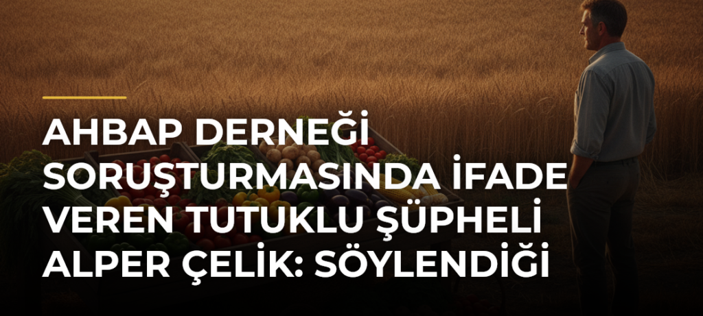 AHBAP Derneği soruşturmasında ifade veren tutuklu şüpheli Alper Çelik: Söylendiği miktarlar kadar para kaybettik